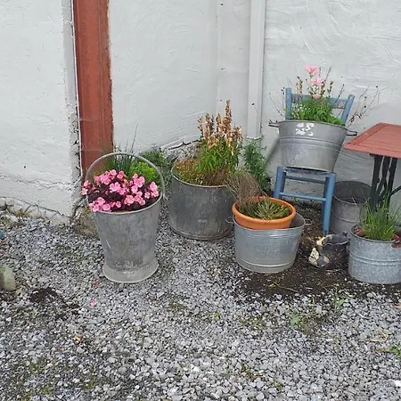 Tatil Evi Murphy's Irish Near