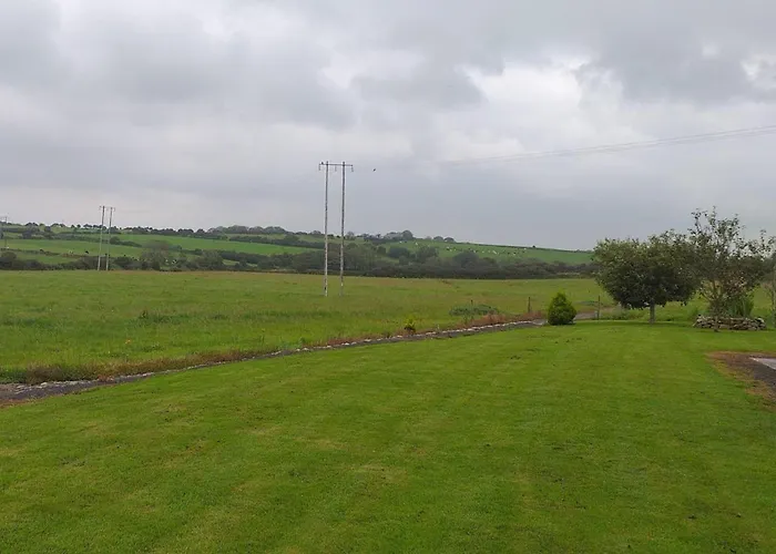 Murphy's Irish Near *